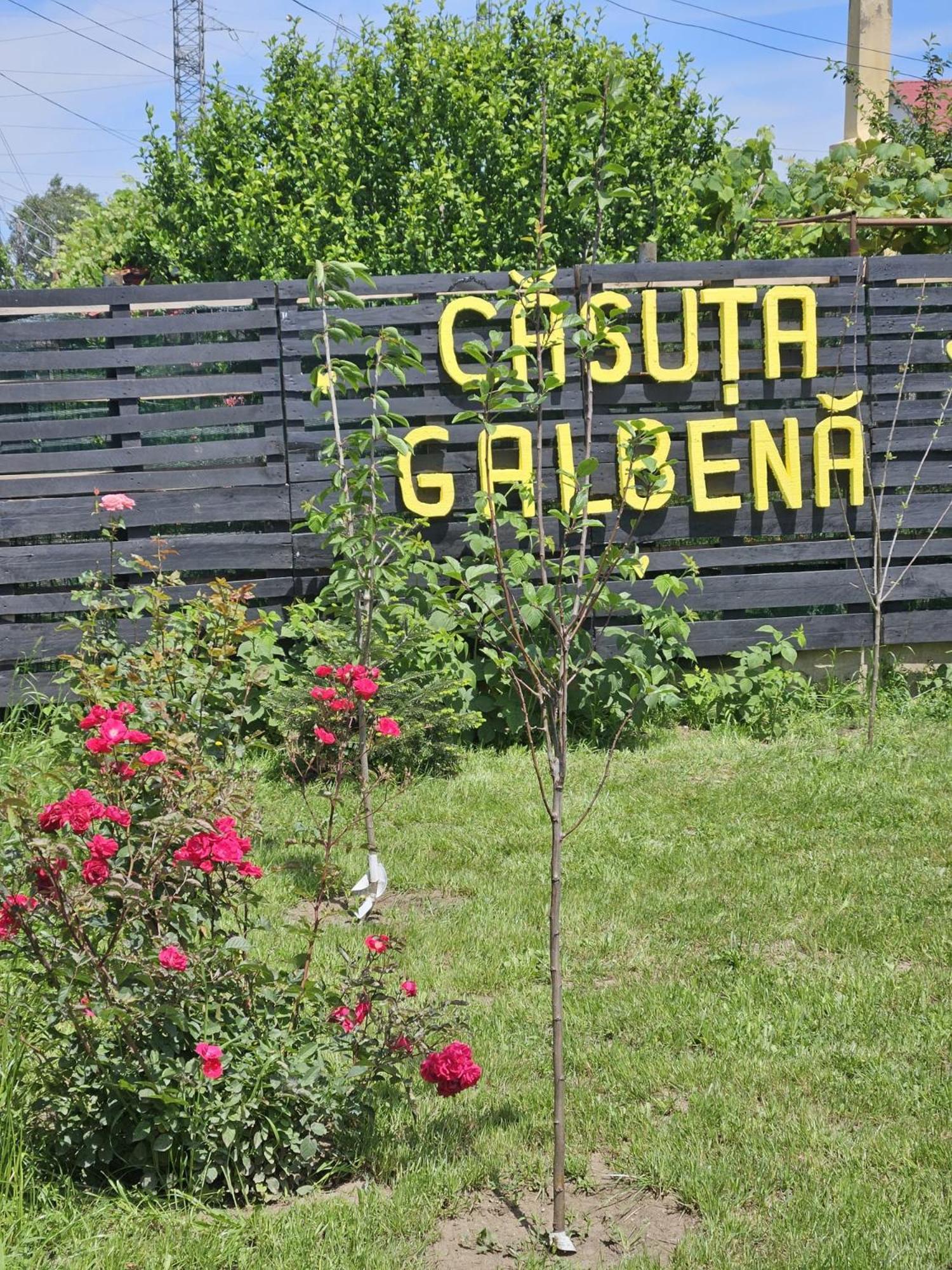 Casuta Galbena Βίλα Eforie Nord Εξωτερικό φωτογραφία